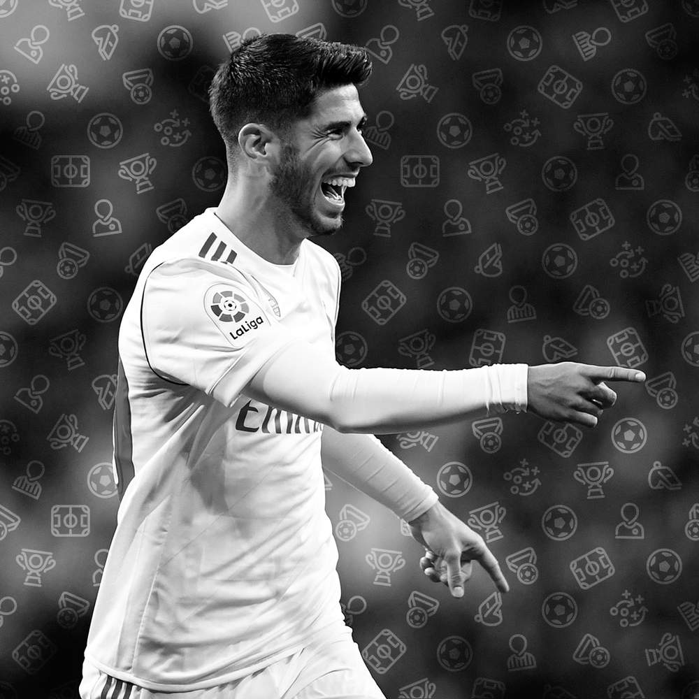 新教练组的 新教练组的